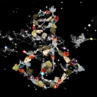 Biophilia (Live At Manchester International Festival)