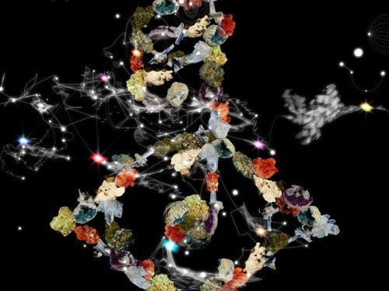 Biophilia (Live At Manchester International Festival)