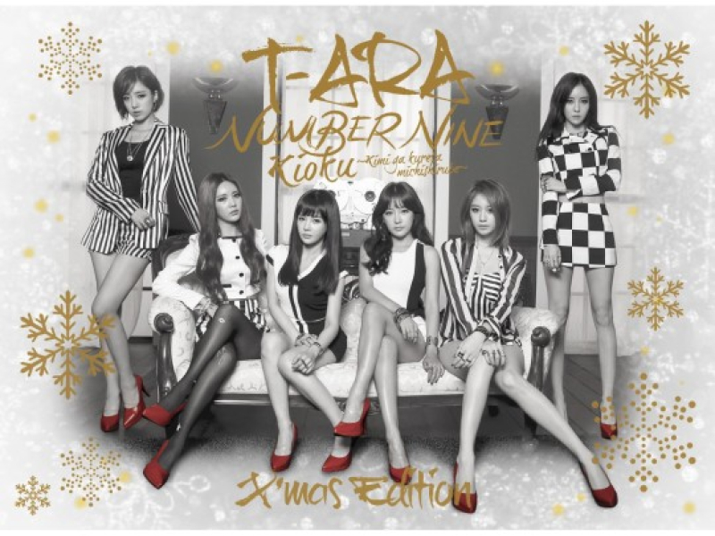 T-ara Party Non Stop Remix