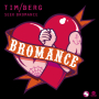 Seek Bromance (Avicii's Vocal Edit)