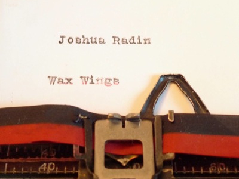 Wax Wings
