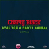 Gyal You A Party Animal (Remix)
