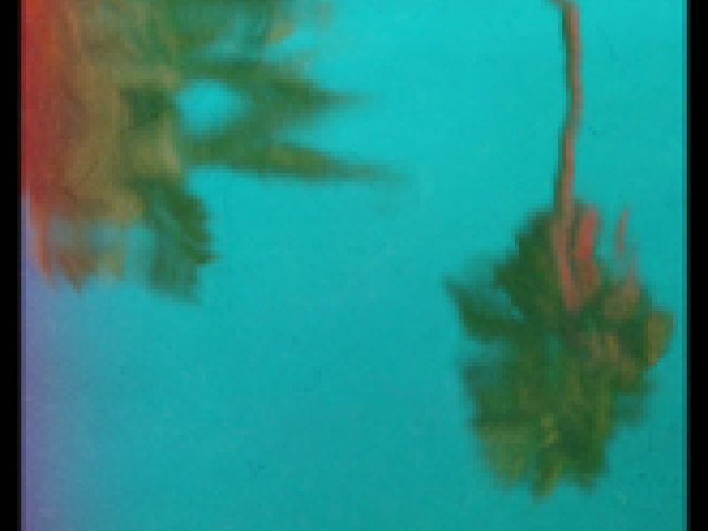 In The Shade (Aviino Remix) (Single)