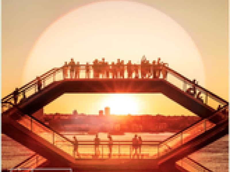 See The Sunlight (Single)