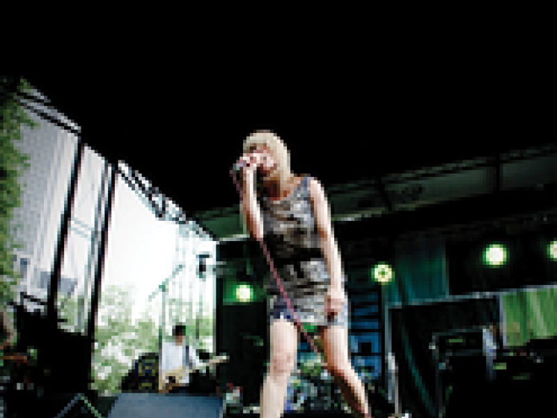 Bull In The Heather (Battery Park, NYC: July 4th 2008)