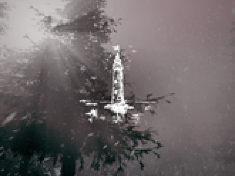 First Light (Single)