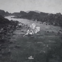 Cool Side Of The Pillow