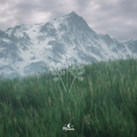 Sleep First (Single)