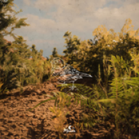 Hibernation (Single)