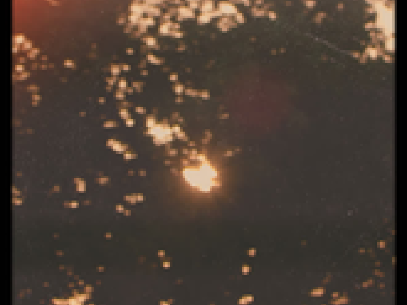 Have Doughnut (Single)