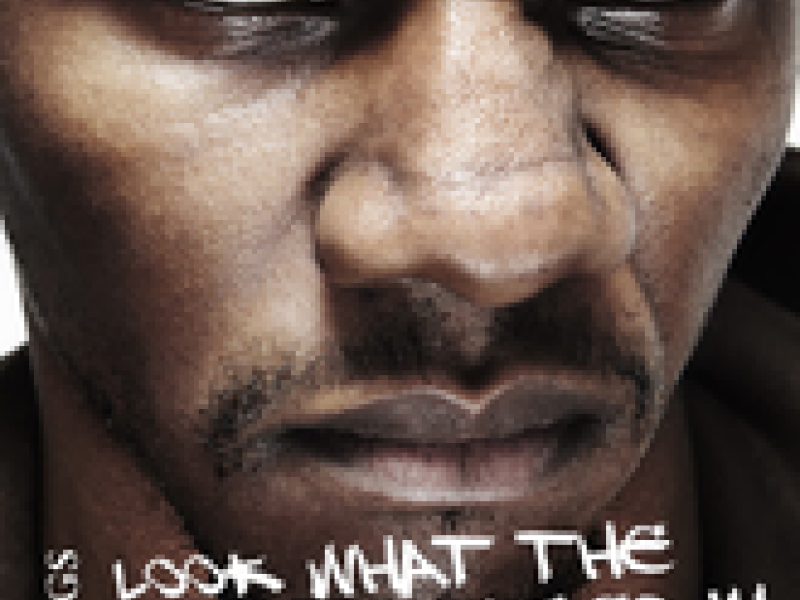 Look What the Cat Dragged In