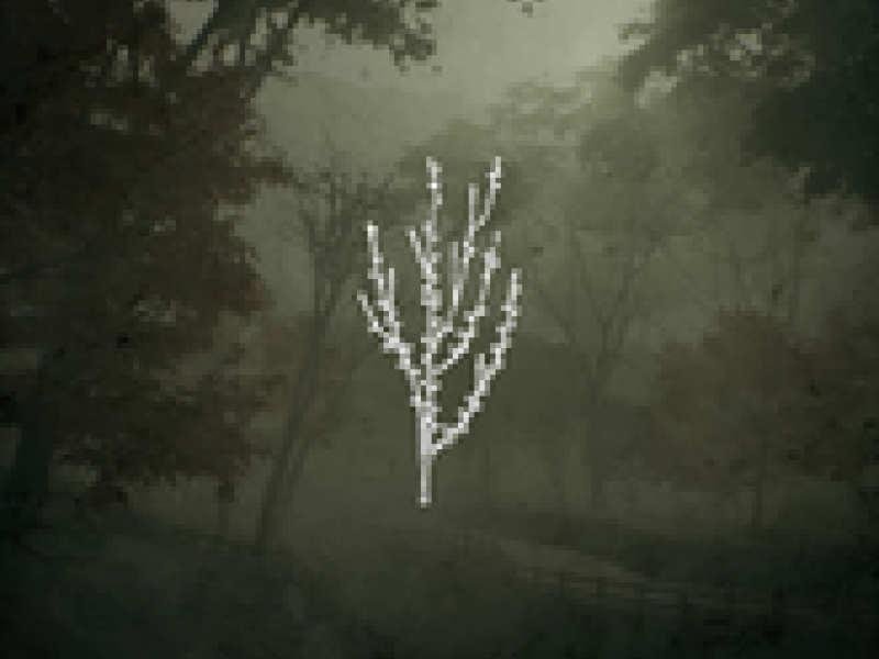 A Deeper Understanding (Single)