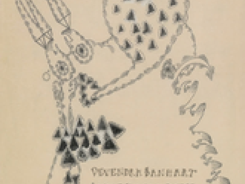 Little Yellow Spider