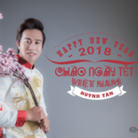 Chào Ngày Tết Việt Nam