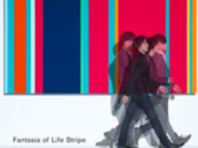 Fantasia of Life Stripe