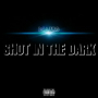 Shot In The Dark