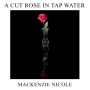 A Cut Rose In Tap Water
