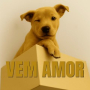 Vem Amor (Speed)