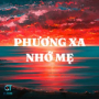 Phố Đêm