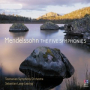 Mendelssohn: Symphony No.5 in D minor, Op.107,  MWV N15 - 