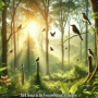 Bird Songs in the Forest, Serene Awakening