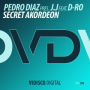 Secret Akordeon (Club Mix)