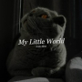 My Little World