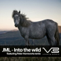 Into The Wild (original mix)