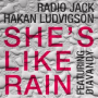 She's Like Rain feat. DiaVandy (Original Mix)