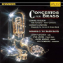 Concerto for Tuba and Brass Band: I. Allegro deciso