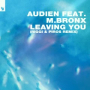 Leaving You (Riggi & Piros Extended Remix)