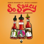 So Saucy (feat. Spice & Shaggy) (Remix)