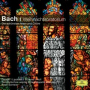 J.S. Bach: Christmas Oratorio, BWV 248 - Part One - For the first Day of Christmas - No. 4 Aria (Alto): 