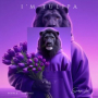 I'm Tulipa