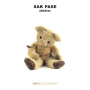 Teddy Bear (feat. SAK PASE) (Remix)