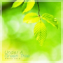 Under A Green Tree