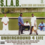Slab Bitch (feat. M) (S.L.A.B.ed)