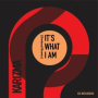 It’s What I Am (Simbad Remix)