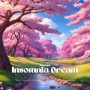 Insomnia Dream