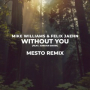 Without You (Mesto Remix)