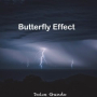 Butterfly Effect