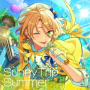 SunnyTrip Summer