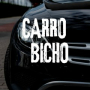 Carro Bicho