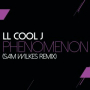 Phenomenon (Sam Wilkes Remix)