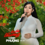 Buồn Thương Cánh Phượng