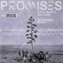 Promises (David Guetta Remix)