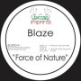 Force of Nature (Roots Vocal Mix)