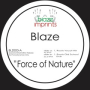 Force of Nature (Roots Vocal Mix)