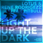 Light up the Dark (Lotus & ADroiD Remix)