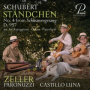 Schwanengesang, D. 957: No. 4, Ständchen (Arr. for Arpeggione, Guitar and Fortepiano by Martin Zeller)